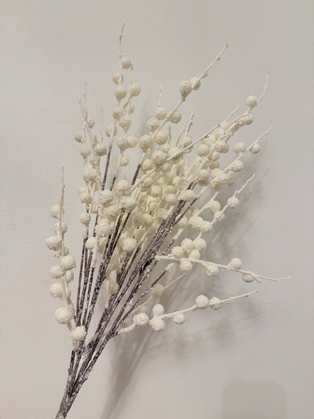 Snow Berry Bush
