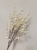 Snow Berry Bush