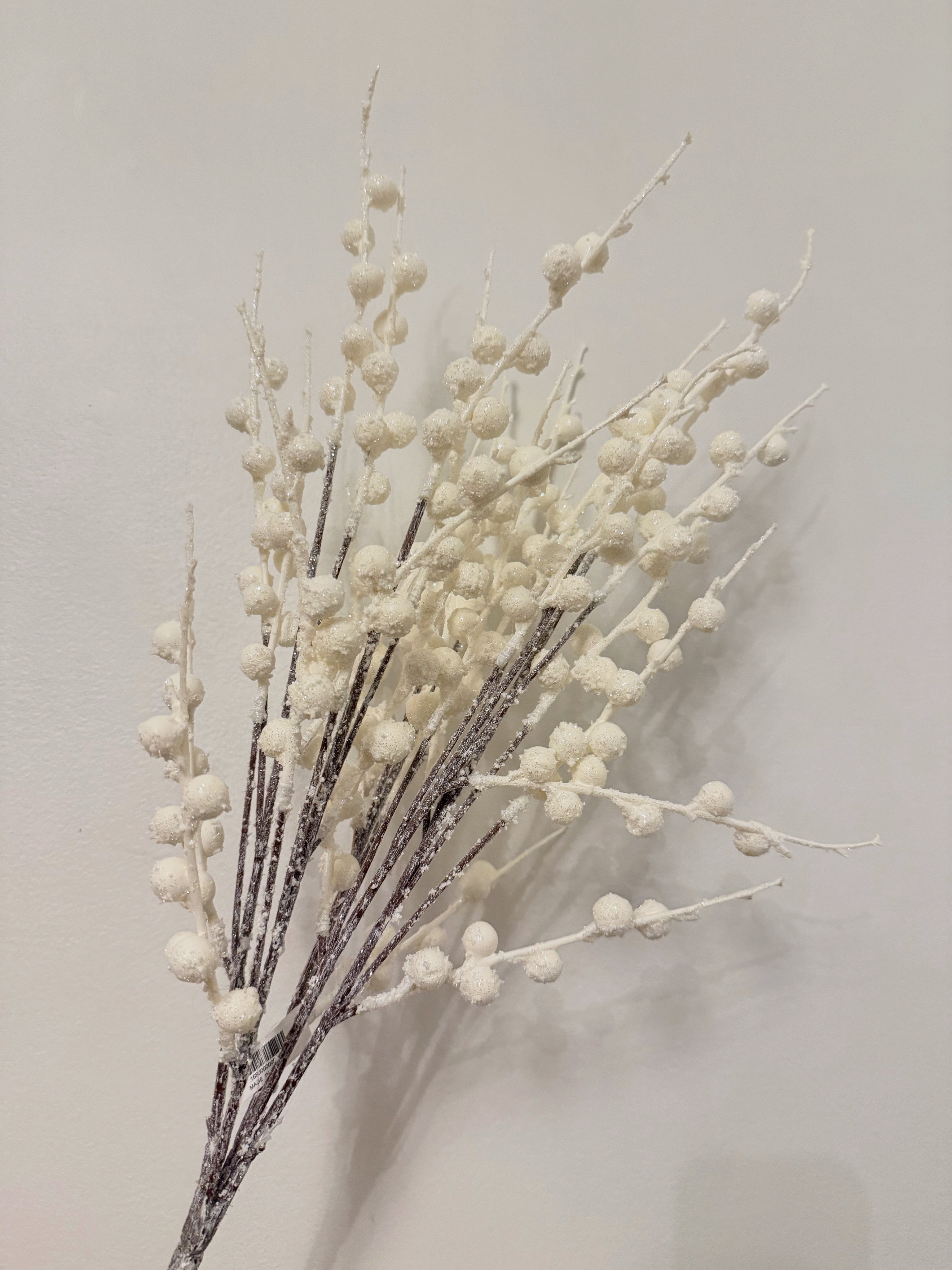 Snow Berry Bush