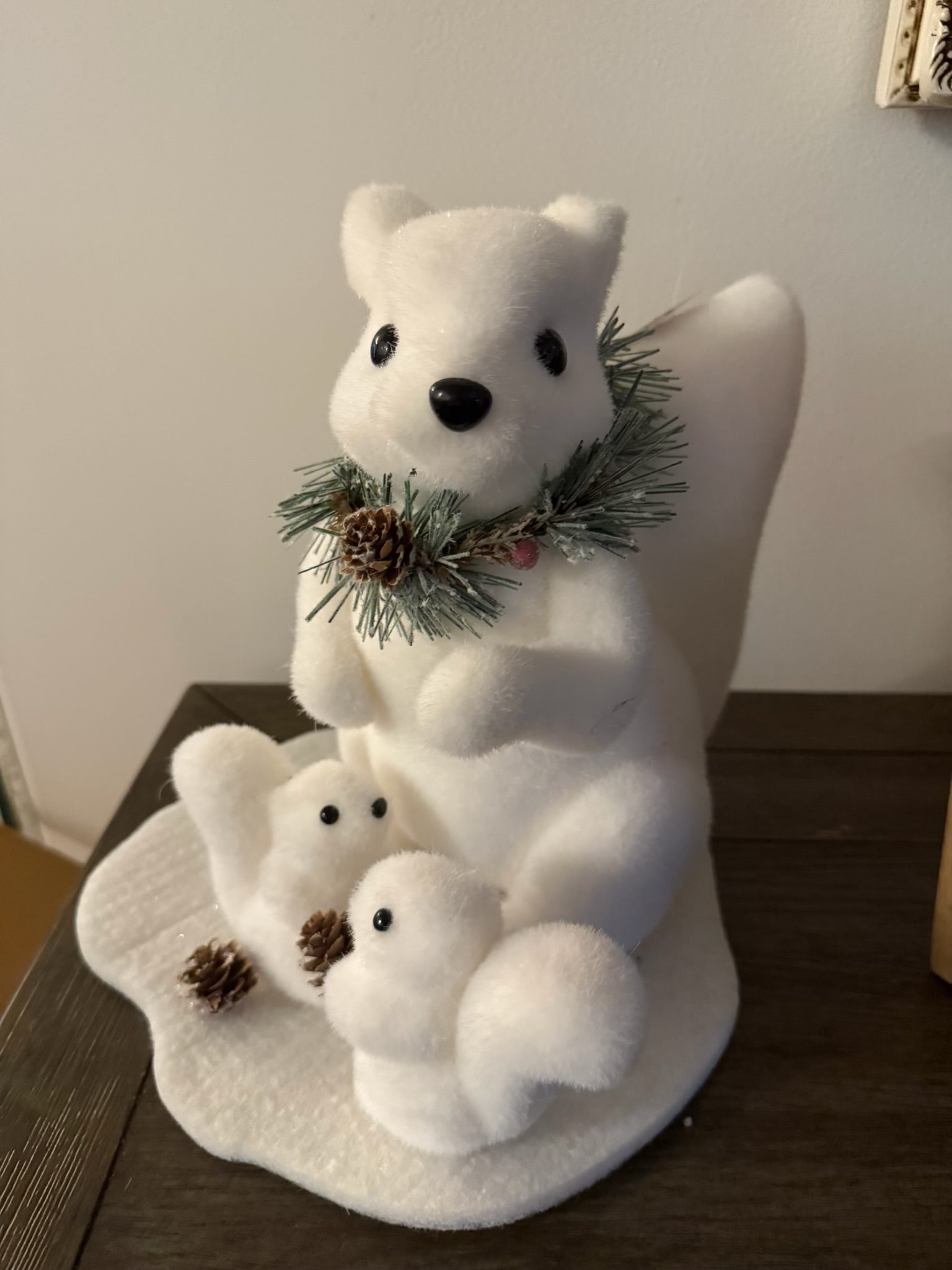 Momma Polar squirrel with Baby’s