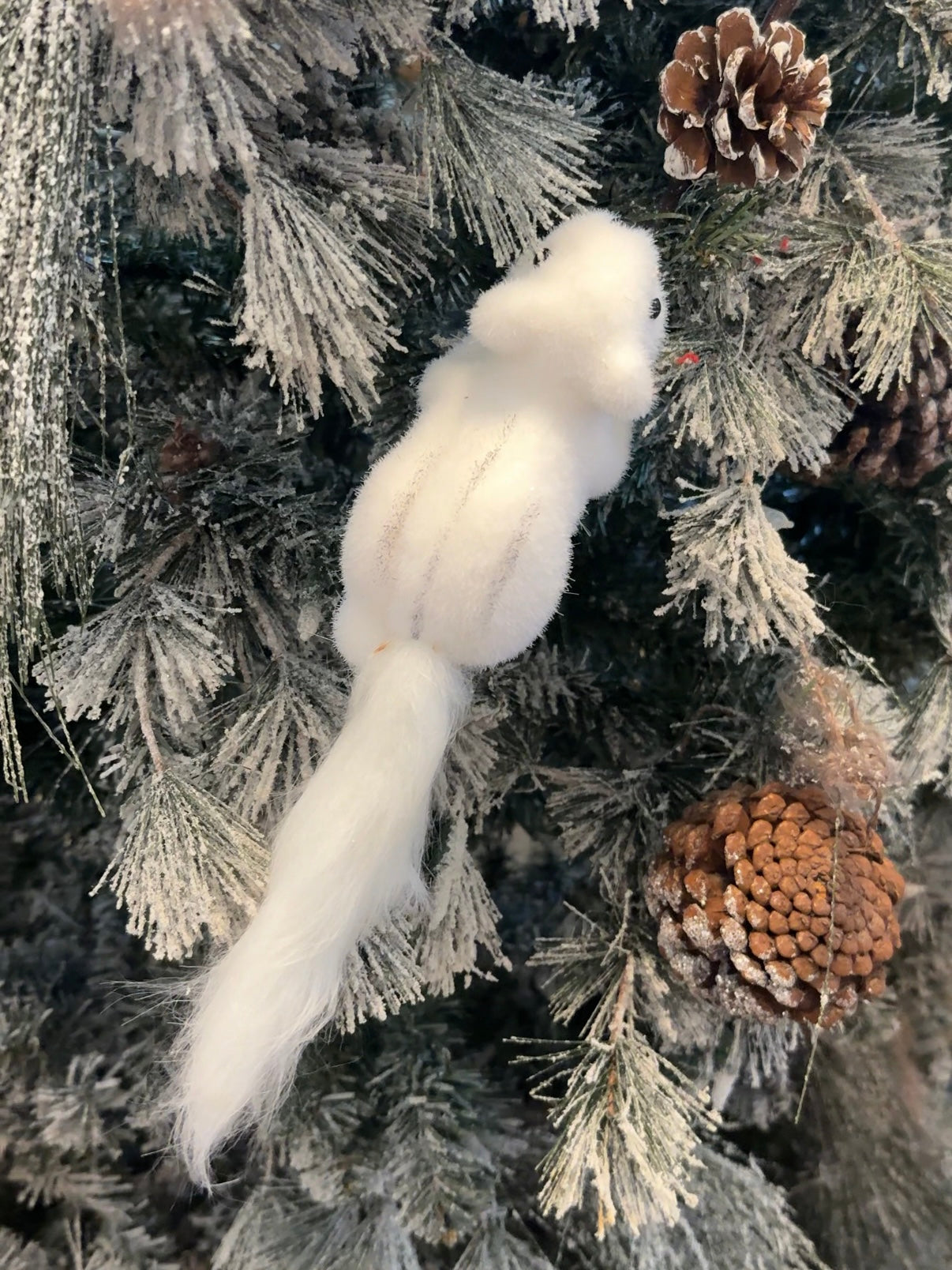 Squirrel on Twig with Pinecone